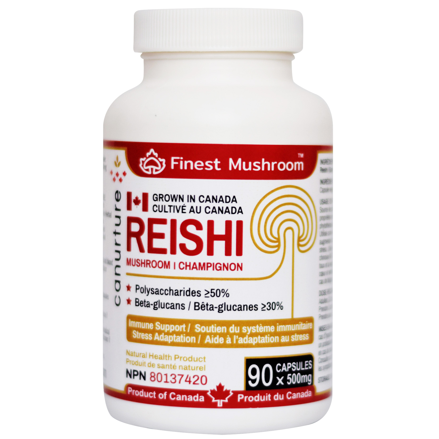 Reishi mushroom (Copy)
